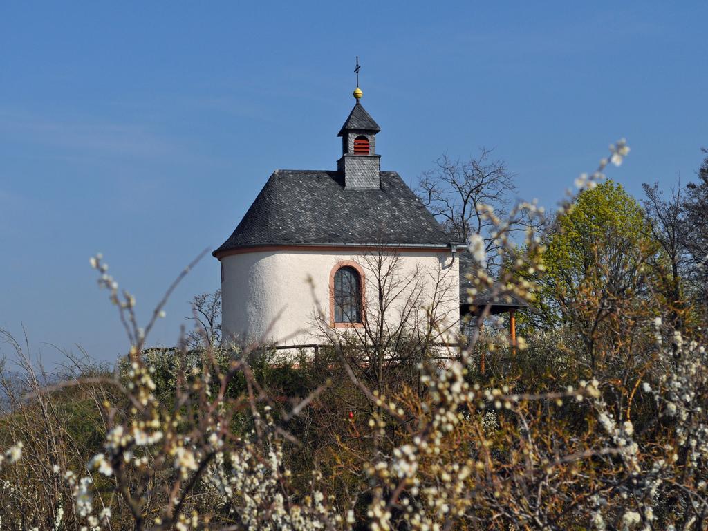 Hofgarten Rosa Ilbesheim bei Landau in der Pfalz Exterior foto